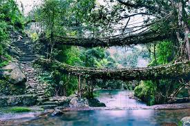 1 Day Cherrapunji Tour