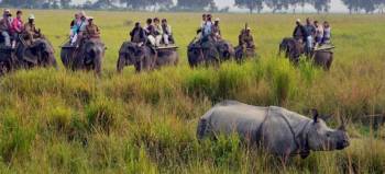 1 Day Kaziranga Tour
